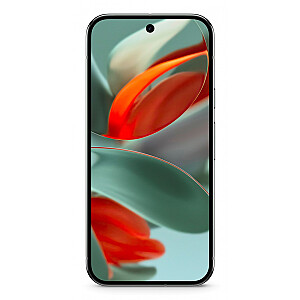 Google Pixel 9 Pro XL 17.3 cm (6.8"), 16 GB, 256 GB, 50 MP, Android 14, Hazel
