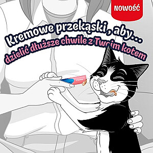 PURINA Felix Deli Moments Salmon - cat treats - 4x10g
