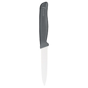 ZYLISS PEILIS SU 10 cm Pjovimo angeliu, PERDIRBTI ŠIAUDŲ PLASTIKAS / NERŪDIJAMASIS PLIENAS, Zyliss