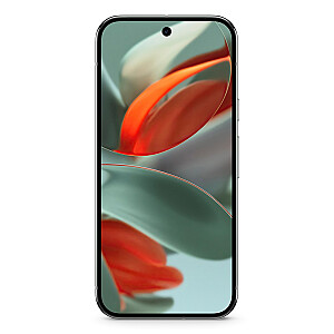 Google Pixel 9 Pro 16 см (6,3&quot;) Две SIM-карты Android 14 5G USB Type-C 16 ГБ 128 ГБ 4700 мАч Зелено-серый