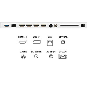 TCL55A300W