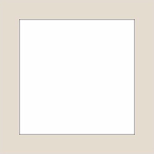 Rėmelis Focus Focus Passepartout 50x50 baltas