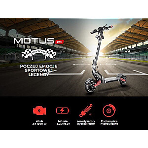 Hulajnoga Motus Pro 10 Daytona