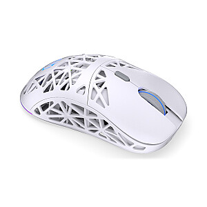 ENDORFY LIV Wireless Onyx White