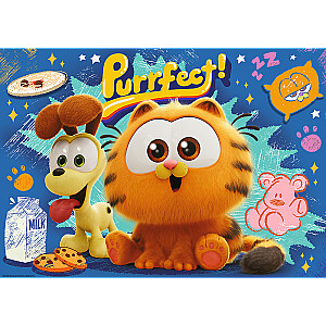 TREFL GARFIELD PREMIUM PLUS Dėlionė „Garfildas“, 1000 det.