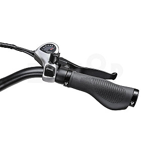 Электрический велосипед APE RYDER 20 A10 черный