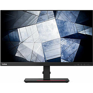 „Monitor“ Lenovo ThinkVision P24h-2L (62B2GAT1EU)