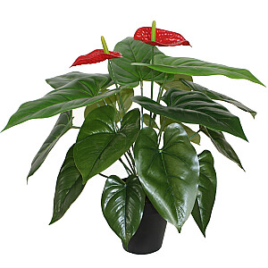 Kunsttaim ANTHURIUM, H45cm, flamingoill