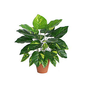 Kunsttaim DIEFFENBACHIA, H45см, горшок для сусла